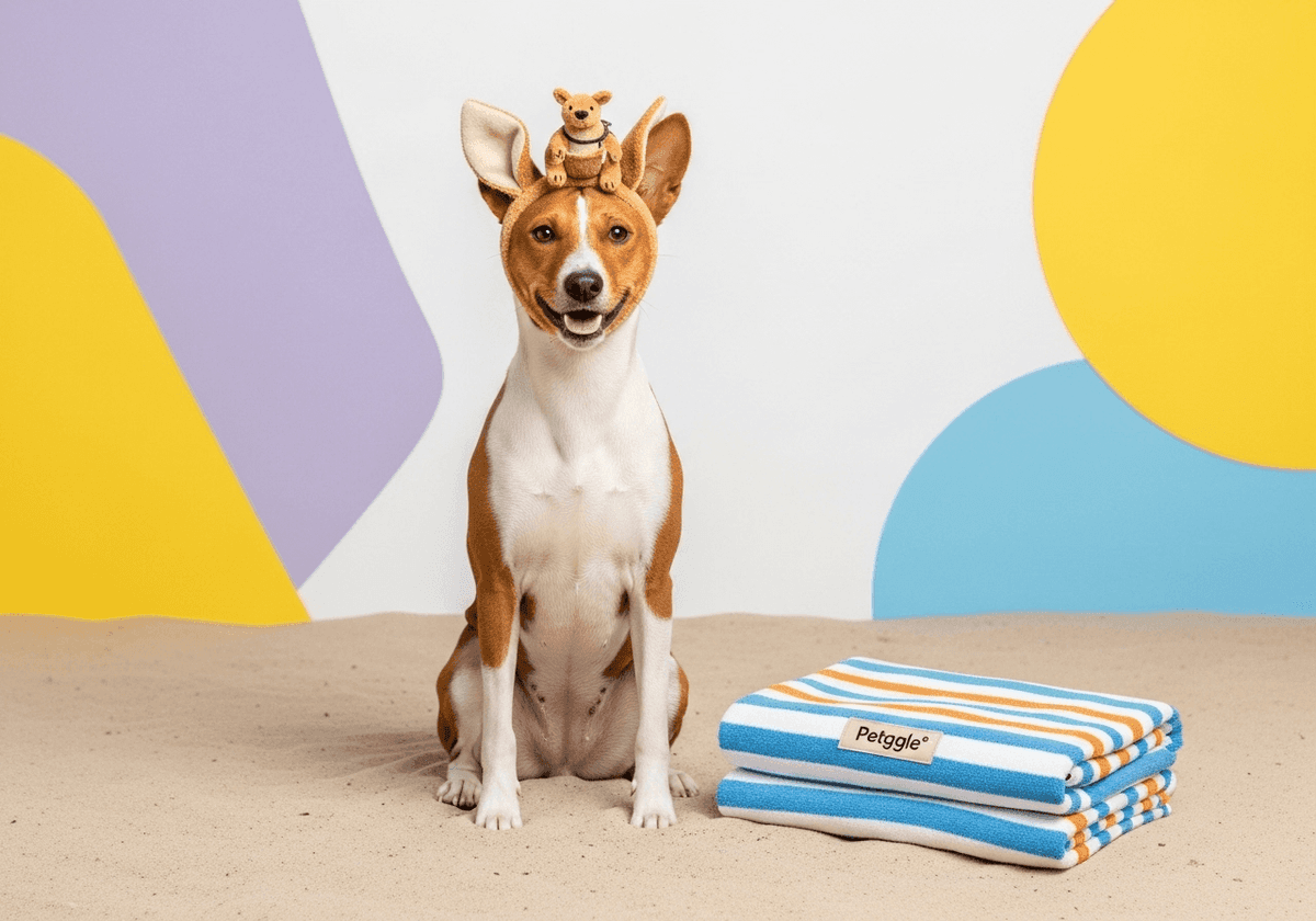 Basenji