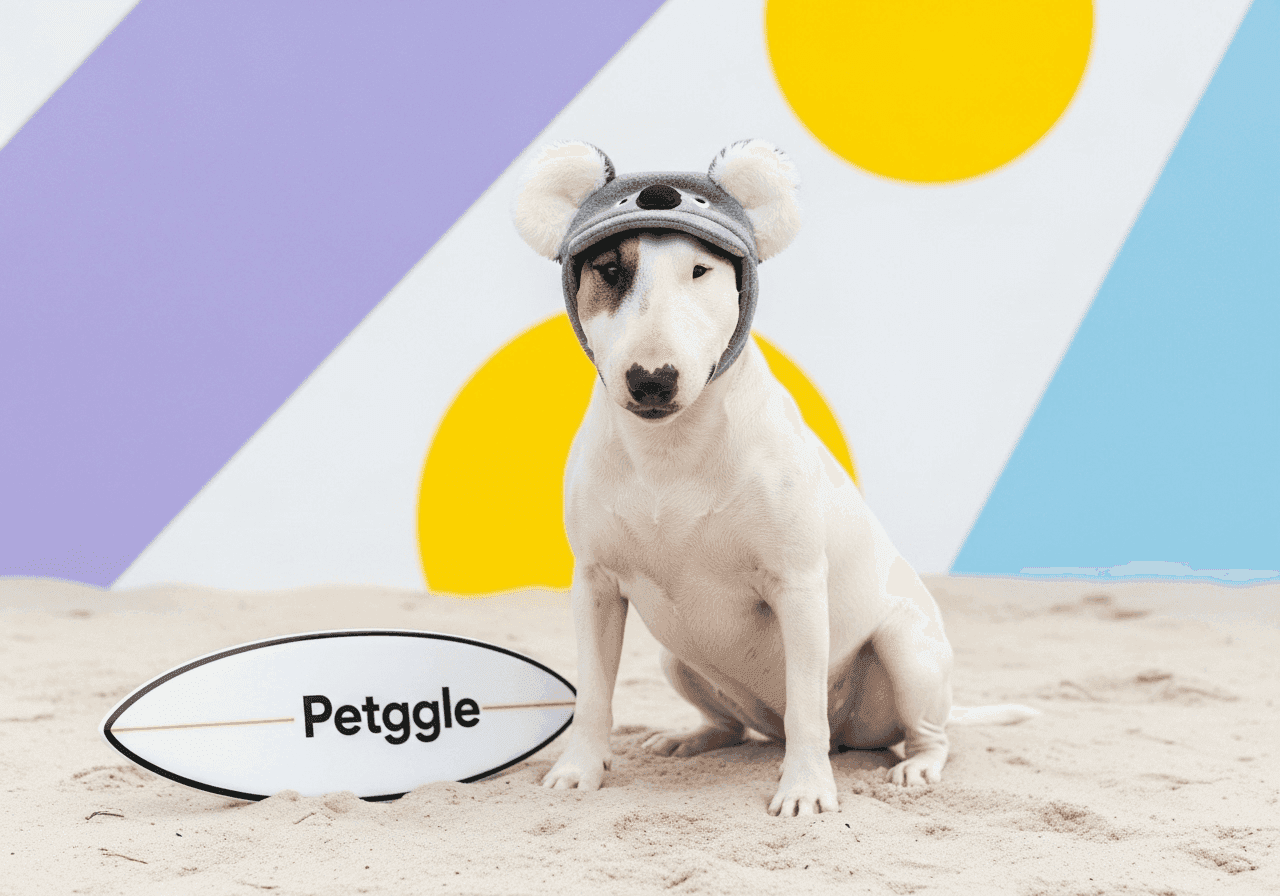 Bull Terrier