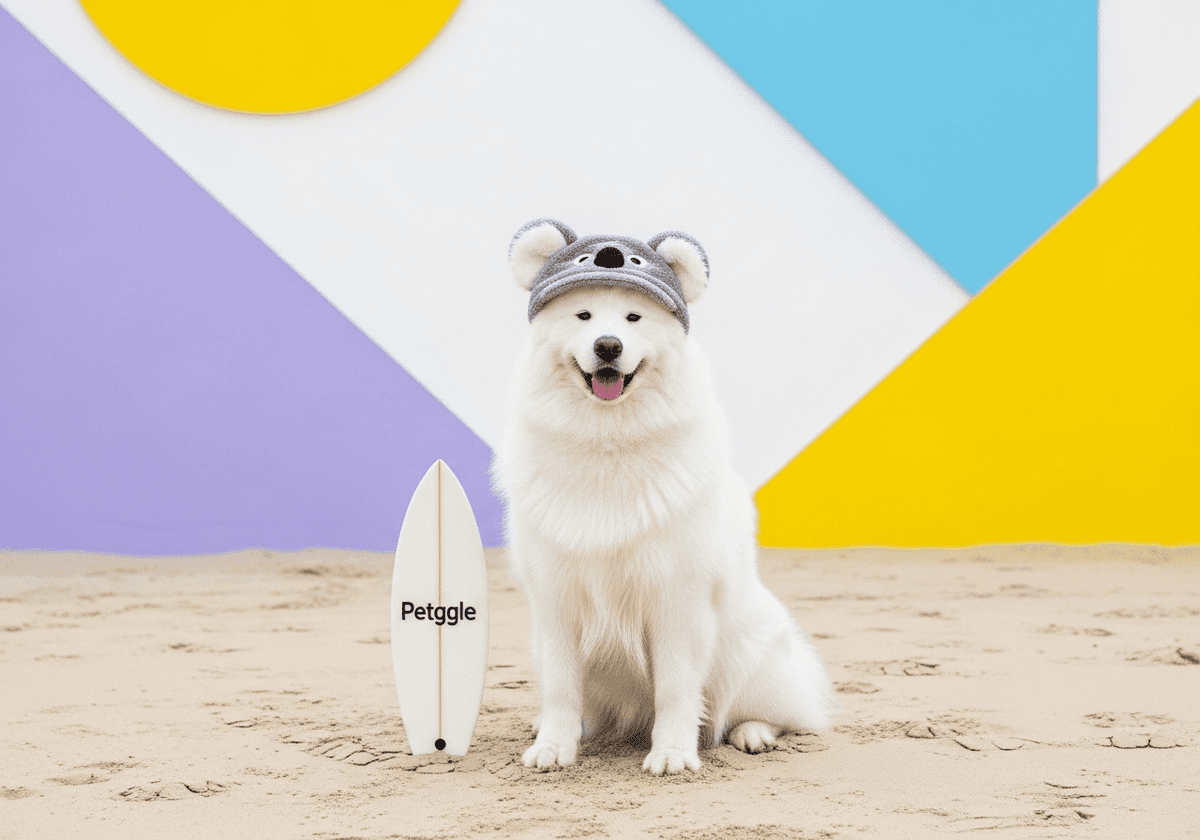 Samoyed