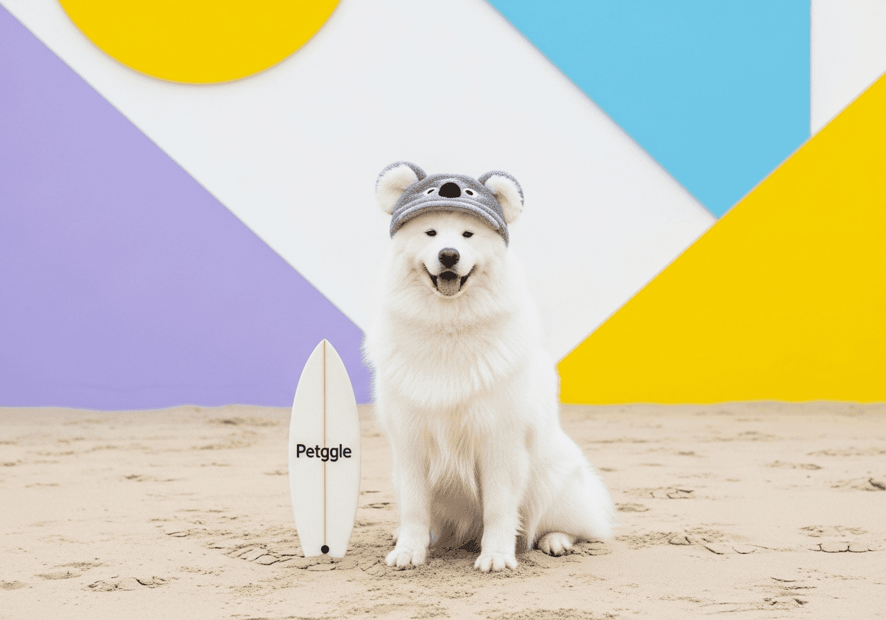 Samoyed